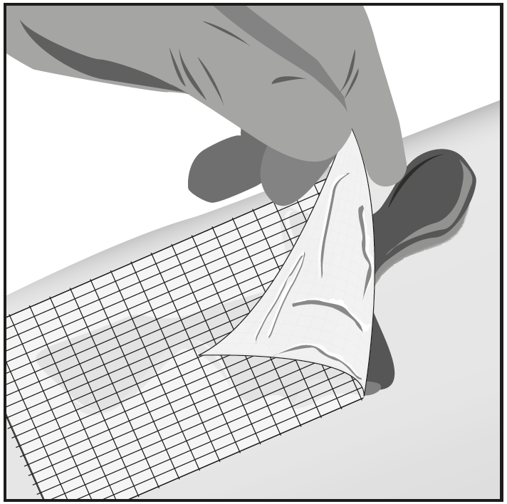 image6.png